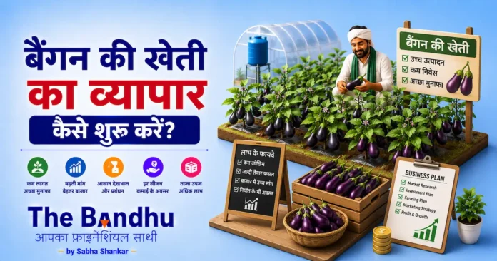 baingan-ki-kheti-ka-vyapar-kaise-kare