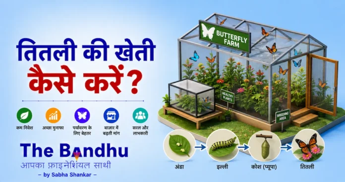 butterfly-farming-business-plan-in-hindi