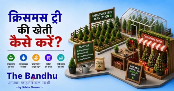 christmas-tree-farming-business-in-hindi