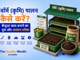 वॉर्म (कृमि) पालन कैसे करें? केंचुआ खाद बनाने का पूरा और आसान तरीका वॉर्म (कृमि) पालन कैसे करें? केंचुआ खाद बनाने का पूरा और आसान तरीका