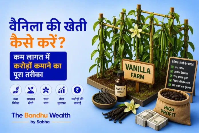 वैनिला की खेती कैसे करें? कम लागत में करोड़ों कमाने का पूरा तरीका वैनिला की खेती कैसे करें? कम लागत में करोड़ों कमाने का पूरा तरीका