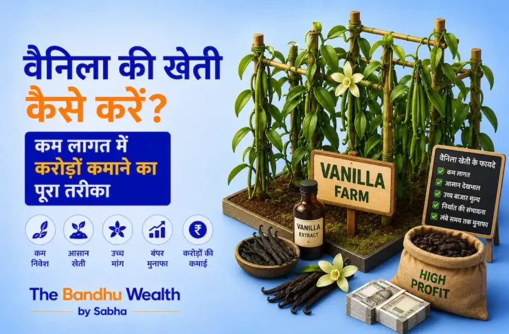 वैनिला की खेती कैसे करें? कम लागत में करोड़ों कमाने का पूरा तरीका